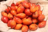 Des tomates d'arbres
